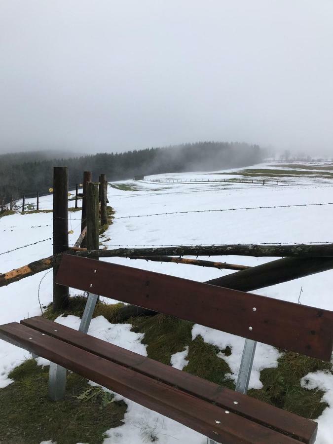 Ferienhaus Schneeweiss Winterberg Exterior photo